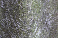 Feeny fibreglass roof work